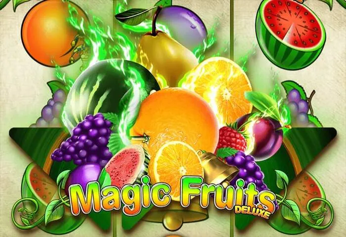 Royal Reels bonus codes for exclusive casino offers
