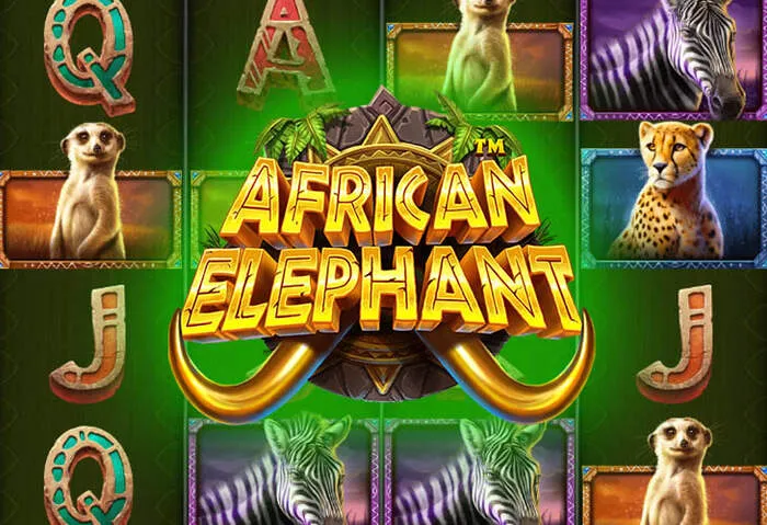 Play Royal reels casino slot for real money wins
